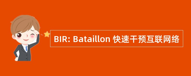 BIR: Bataillon 快速干预互联网络