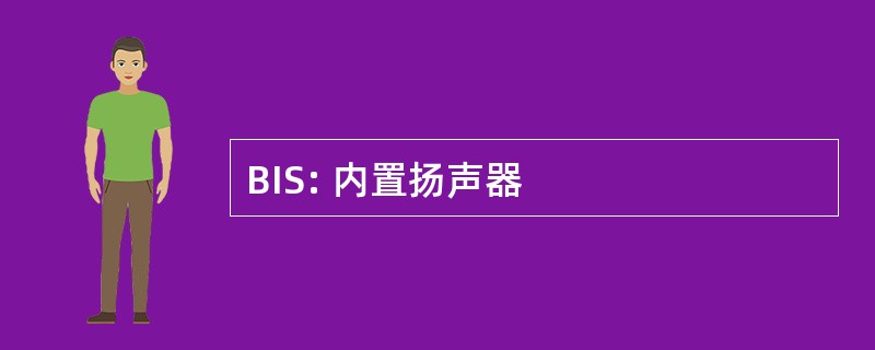 BIS: 内置扬声器