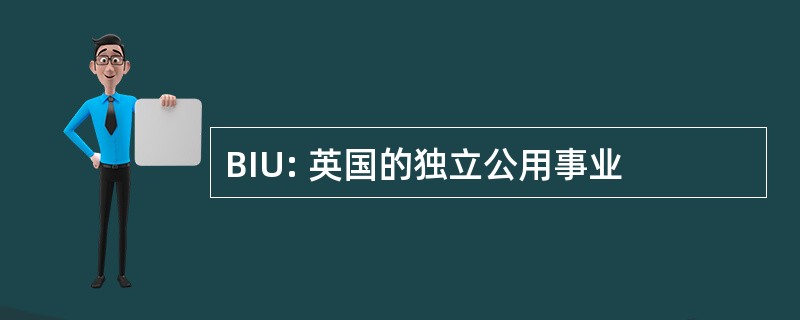 BIU: 英国的独立公用事业