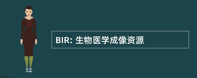 BIR: 生物医学成像资源