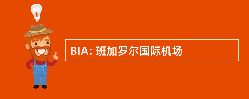 BIA: 班加罗尔国际机场