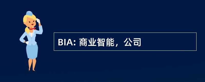 BIA: 商业智能，公司