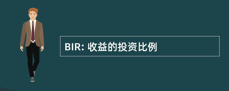 BIR: 收益的投资比例