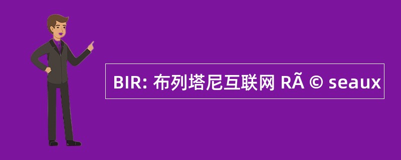 BIR: 布列塔尼互联网 RÃ © seaux