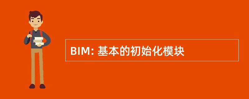 BIM: 基本的初始化模块