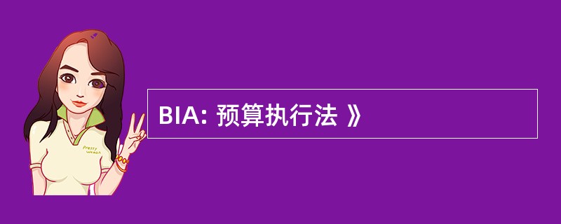 BIA: 预算执行法 》