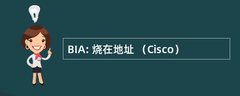 BIA: 烧在地址 （Cisco）