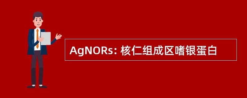 AgNORs: 核仁组成区嗜银蛋白