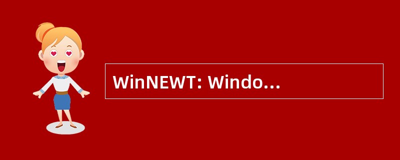 WinNEWT: Windows 网络工程工作站工具