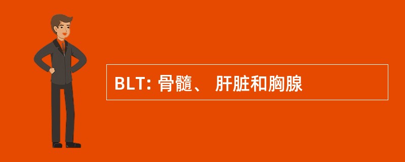 BLT: 骨髓、 肝脏和胸腺