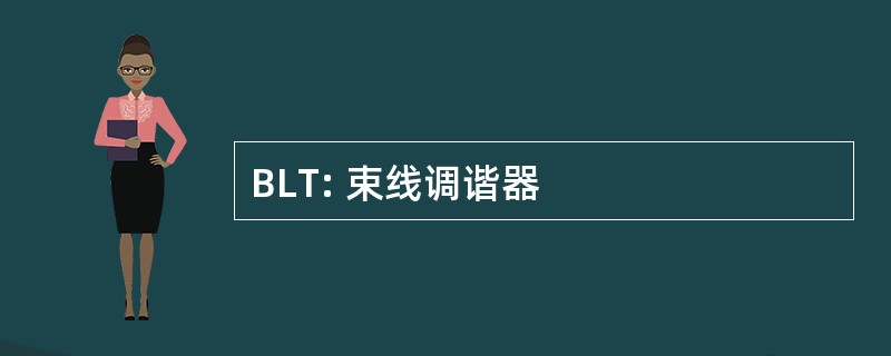 BLT: 束线调谐器