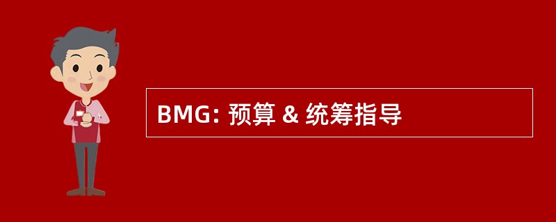 BMG: 预算 & 统筹指导