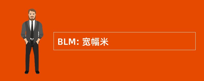 BLM: 宽幅米