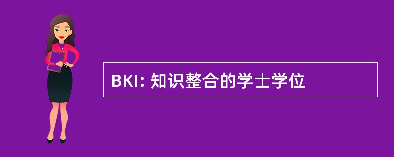 BKI: 知识整合的学士学位