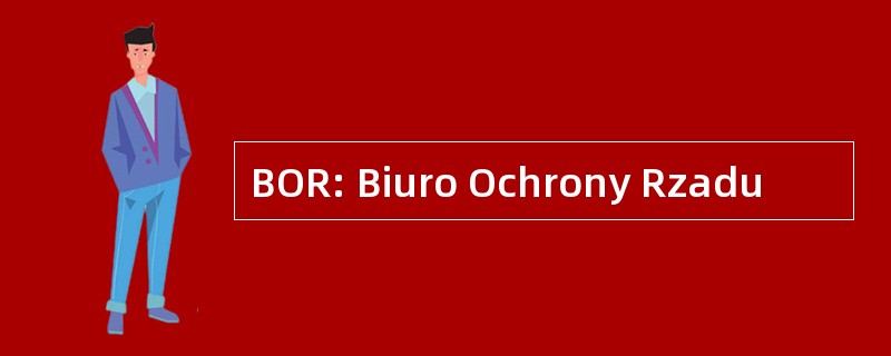 BOR: Biuro Ochrony Rzadu