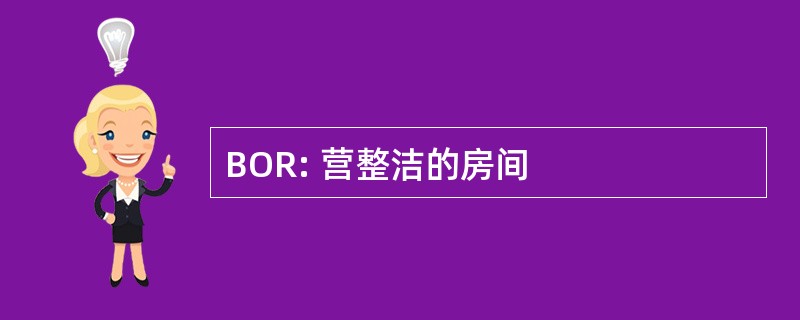 BOR: 营整洁的房间