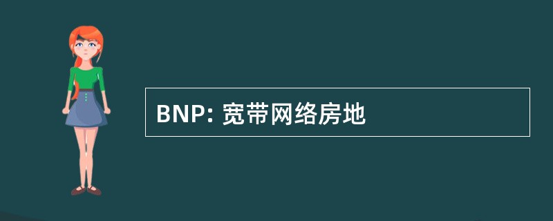 BNP: 宽带网络房地