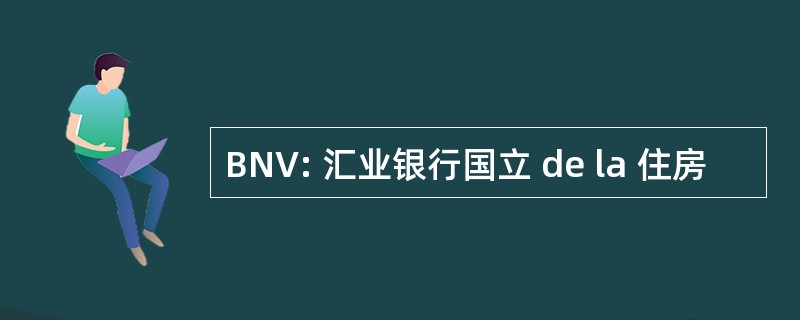 BNV: 汇业银行国立 de la 住房