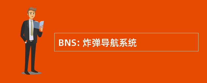 BNS: 炸弹导航系统