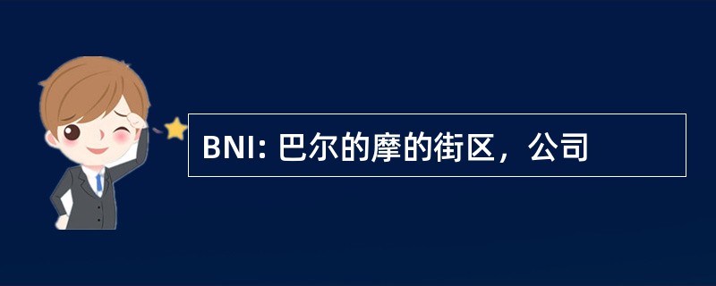 BNI: 巴尔的摩的街区，公司