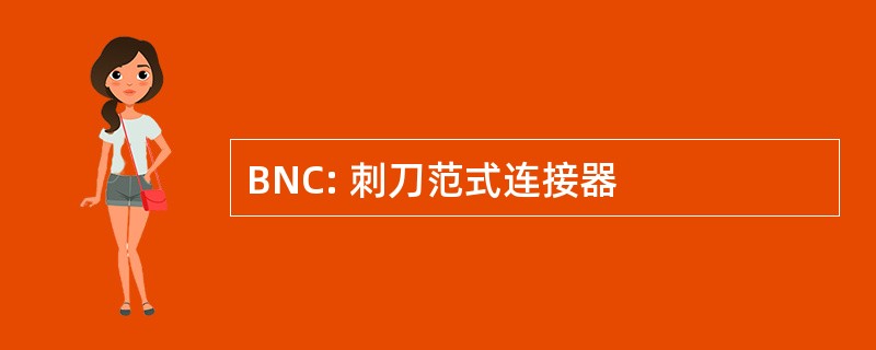 BNC: 刺刀范式连接器