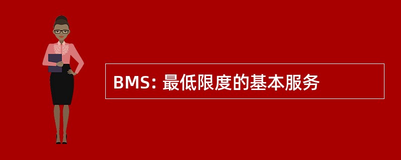 BMS: 最低限度的基本服务