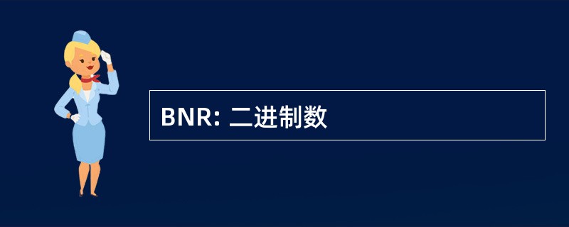 BNR: 二进制数