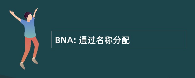 BNA: 通过名称分配