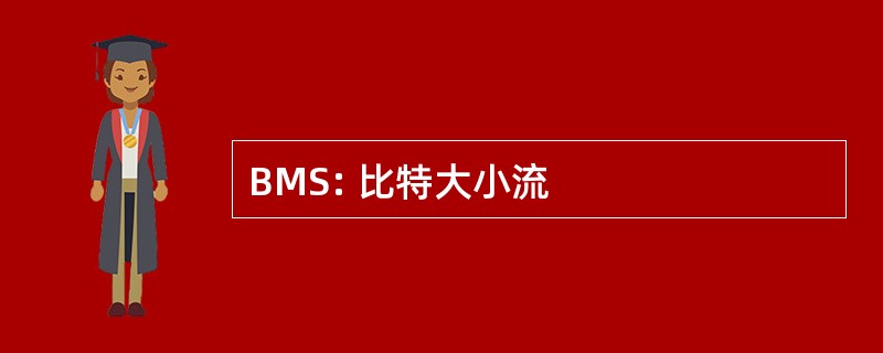 BMS: 比特大小流