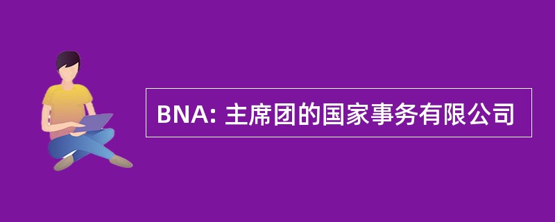 BNA: 主席团的国家事务有限公司