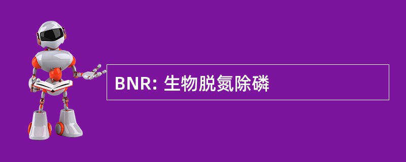 BNR: 生物脱氮除磷