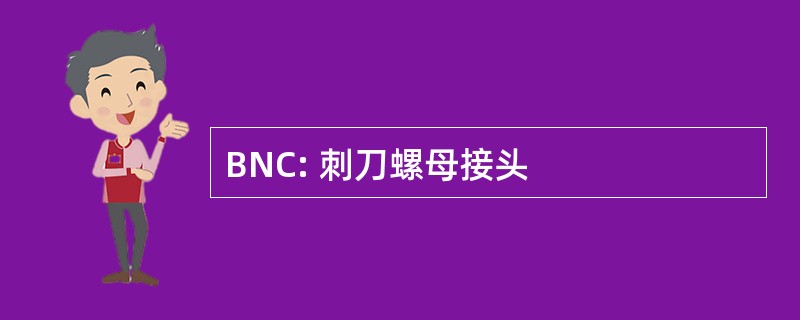 BNC: 刺刀螺母接头