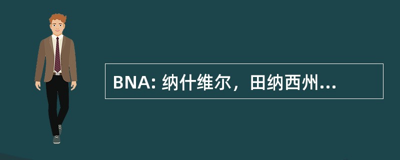 BNA: 纳什维尔，田纳西州，美国-纳什维尔大都会机场