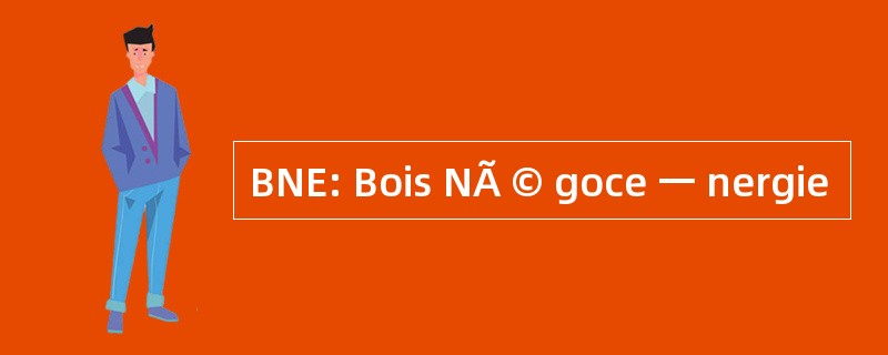 BNE: Bois NÃ © goce 一 nergie