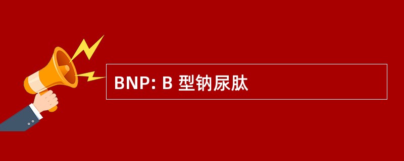 BNP: B 型钠尿肽