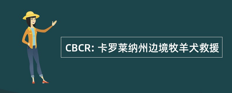 CBCR: 卡罗莱纳州边境牧羊犬救援