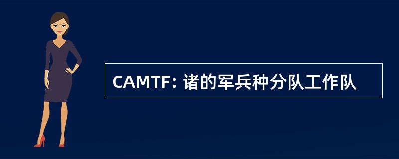 CAMTF: 诸的军兵种分队工作队