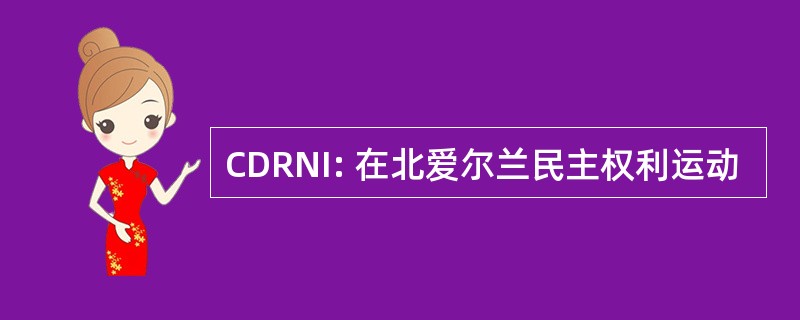 CDRNI: 在北爱尔兰民主权利运动