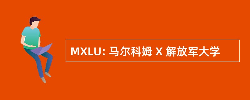 MXLU: 马尔科姆 X 解放军大学