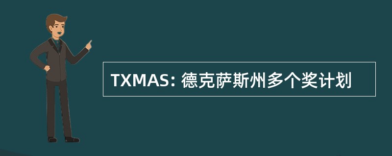 TXMAS: 德克萨斯州多个奖计划