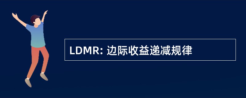 LDMR: 边际收益递减规律