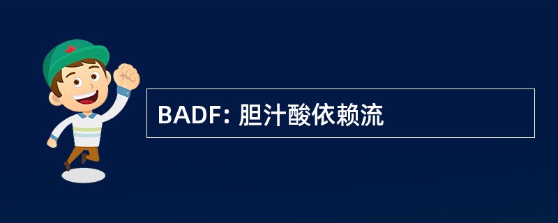 BADF: 胆汁酸依赖流