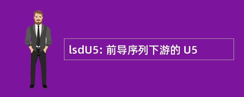 lsdU5: 前导序列下游的 U5