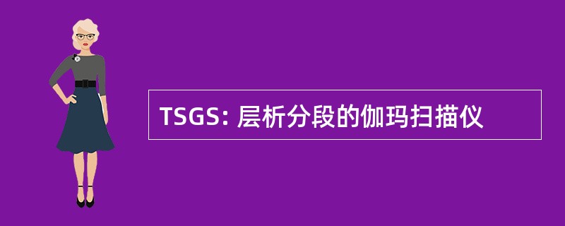 TSGS: 层析分段的伽玛扫描仪