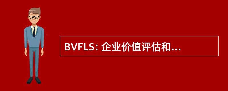 BVFLS: 企业价值评估和法医诉讼服务中心