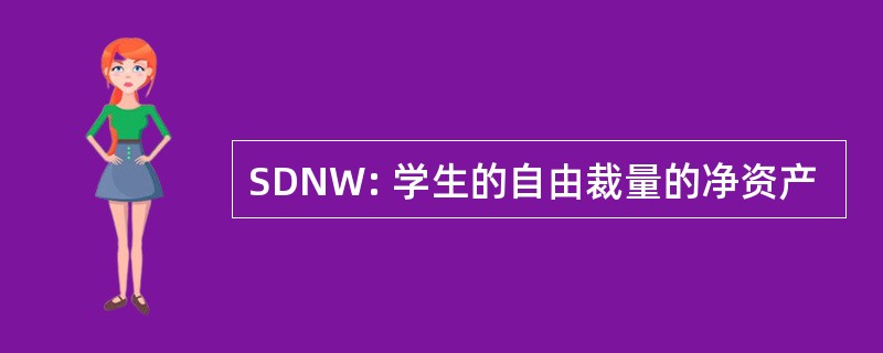 SDNW: 学生的自由裁量的净资产