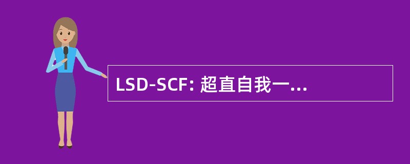 LSD-SCF: 超直自我一致的本地字段