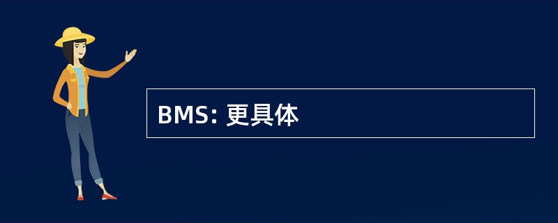 BMS: 更具体