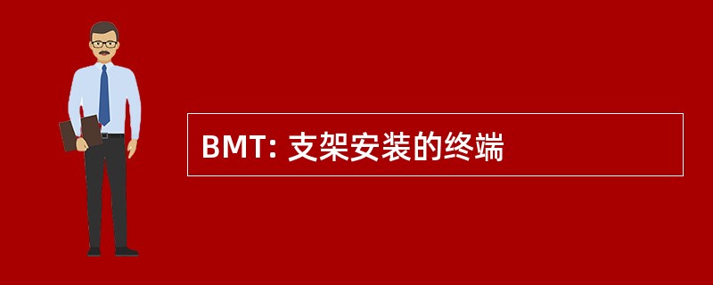 BMT: 支架安装的终端