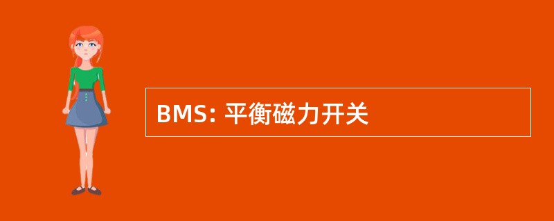 BMS: 平衡磁力开关